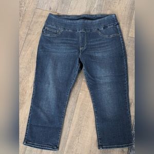 Lee Slimming Fit 14 denim capris DYT Type 2 T2